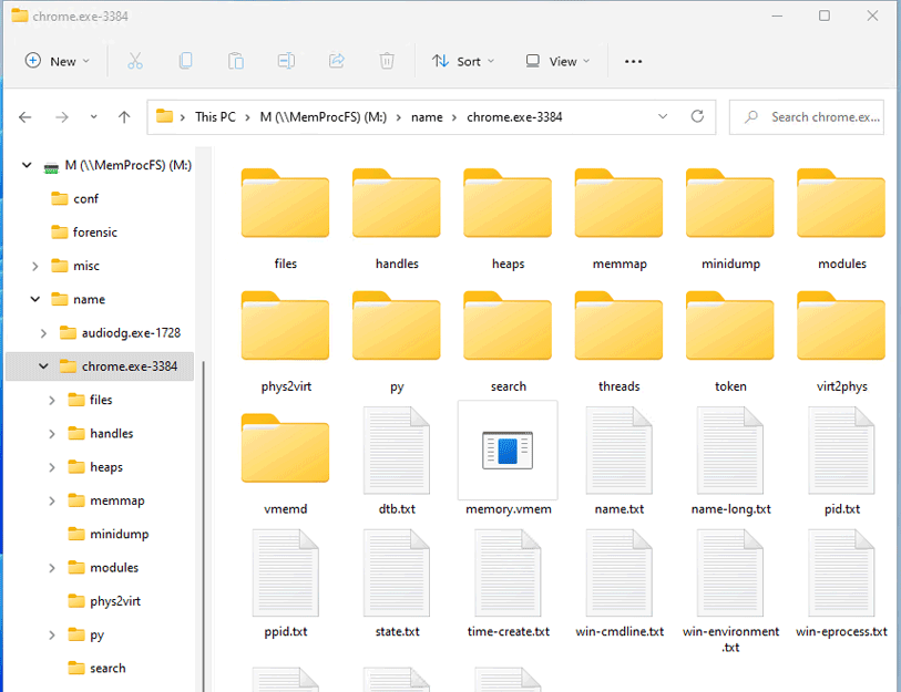 MemProcFS mounting a memory image as a virtual filesystem